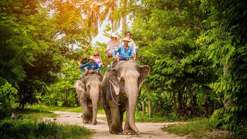 tour du lịch