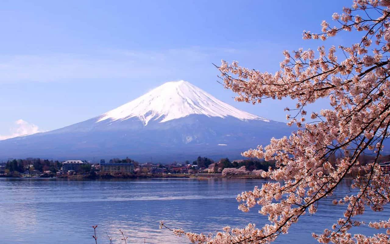 Tour Nhật Bản 4N3Đ | Tokyo – Núi Phú Sĩ – Onsen
