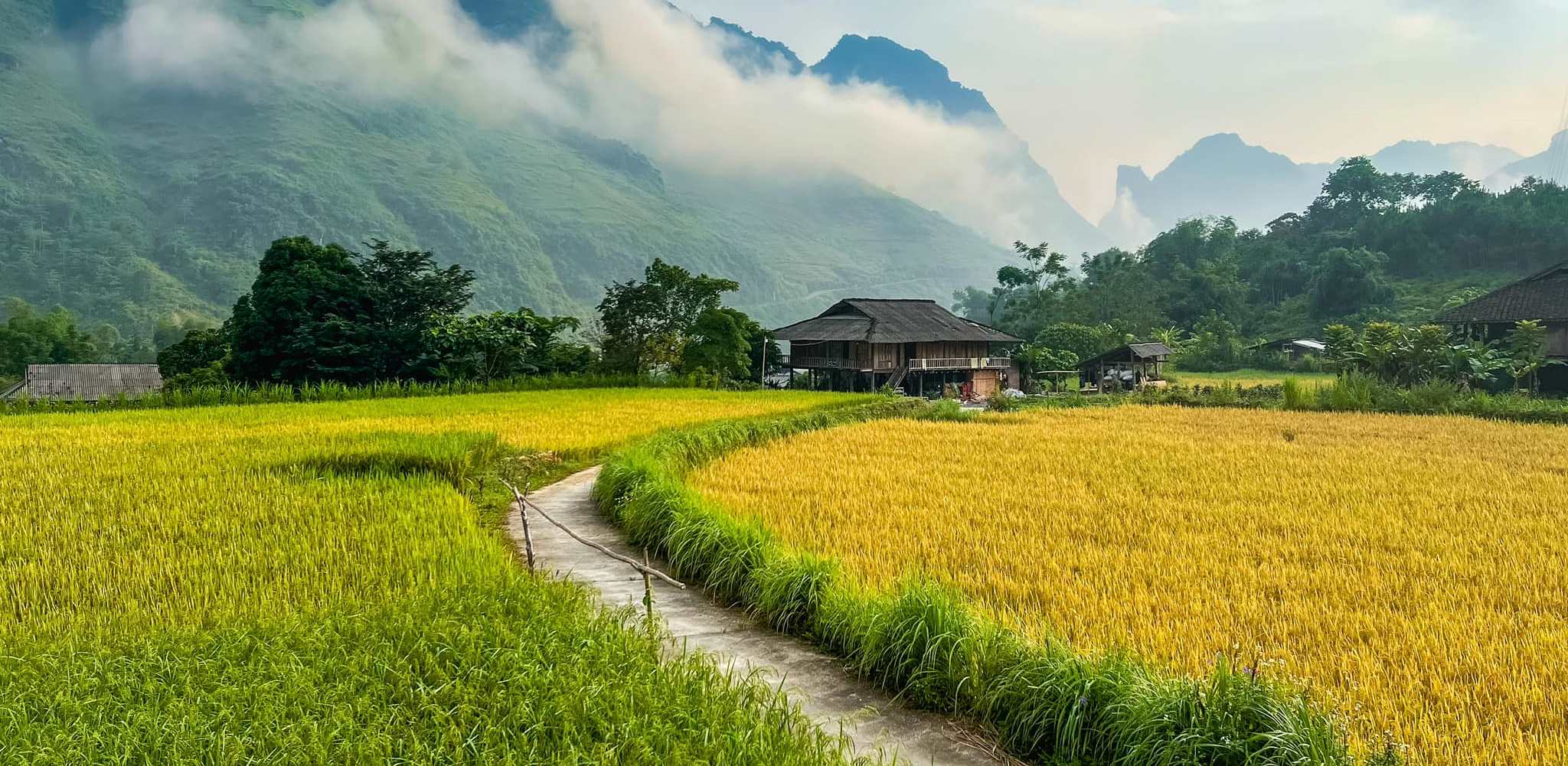 tour du lịch