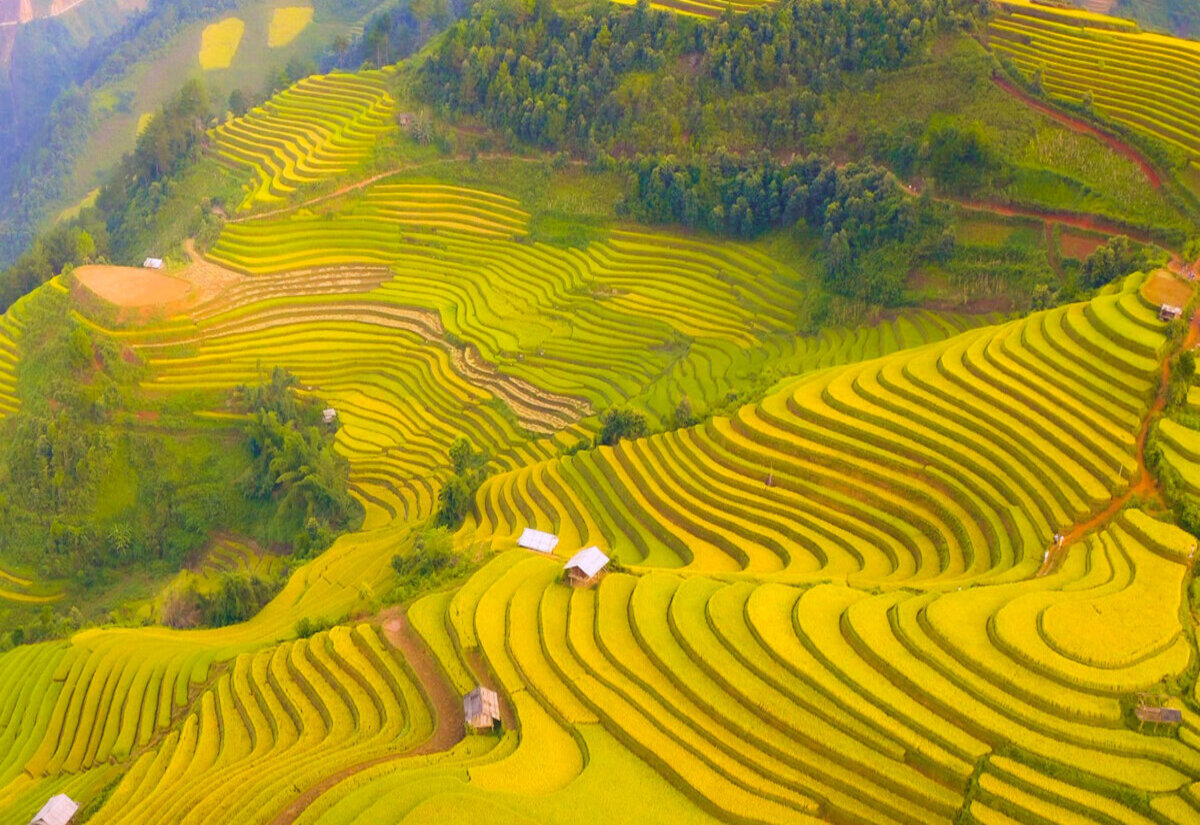 Tour Hải Phòng – Mù Cang Chải – Đèo Khau Phạ – Tú Lệ – Trạm Tấu 3N2Đ