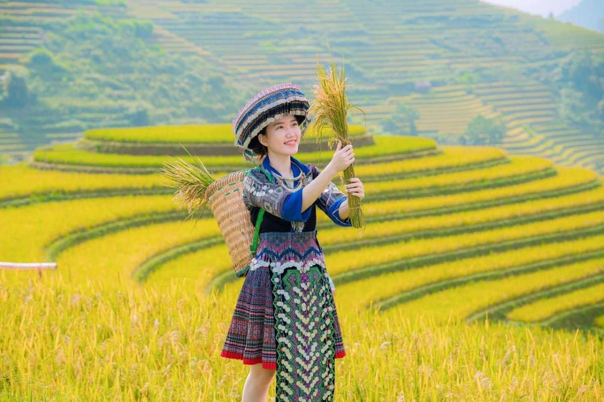 Tour Mù Cang Chải – Sapa Mùa Lúa Chín 3N2Đ